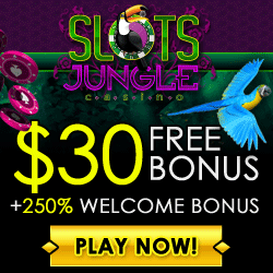 Bonus Bonus